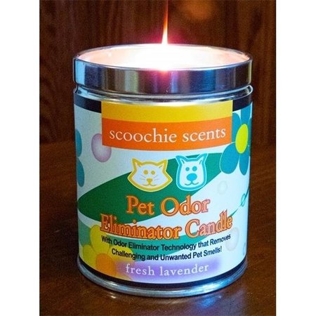 SCOOCHIE PET Scoochie Pet 261 Lavender Pet Odor Removing Candle - 13 oz 261
